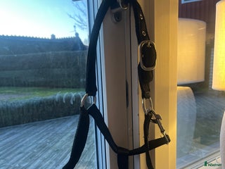 Träns hästutrustning till salu: Nyskick grimma säljes i Påarp - Annons 2