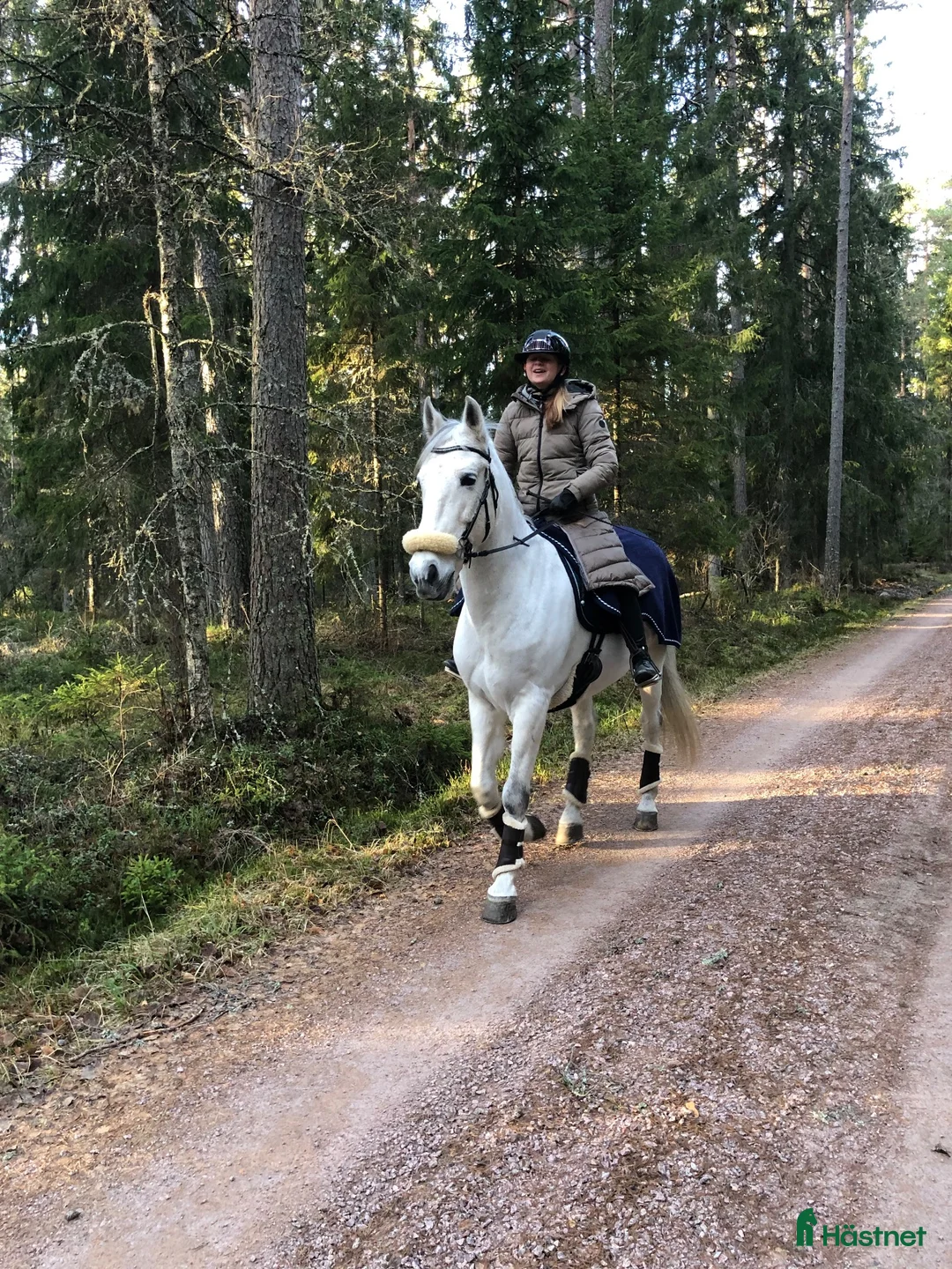 Övrigt hästar till salu: Charmig enmanshäst för skogsridning & trickträning - Annons 2