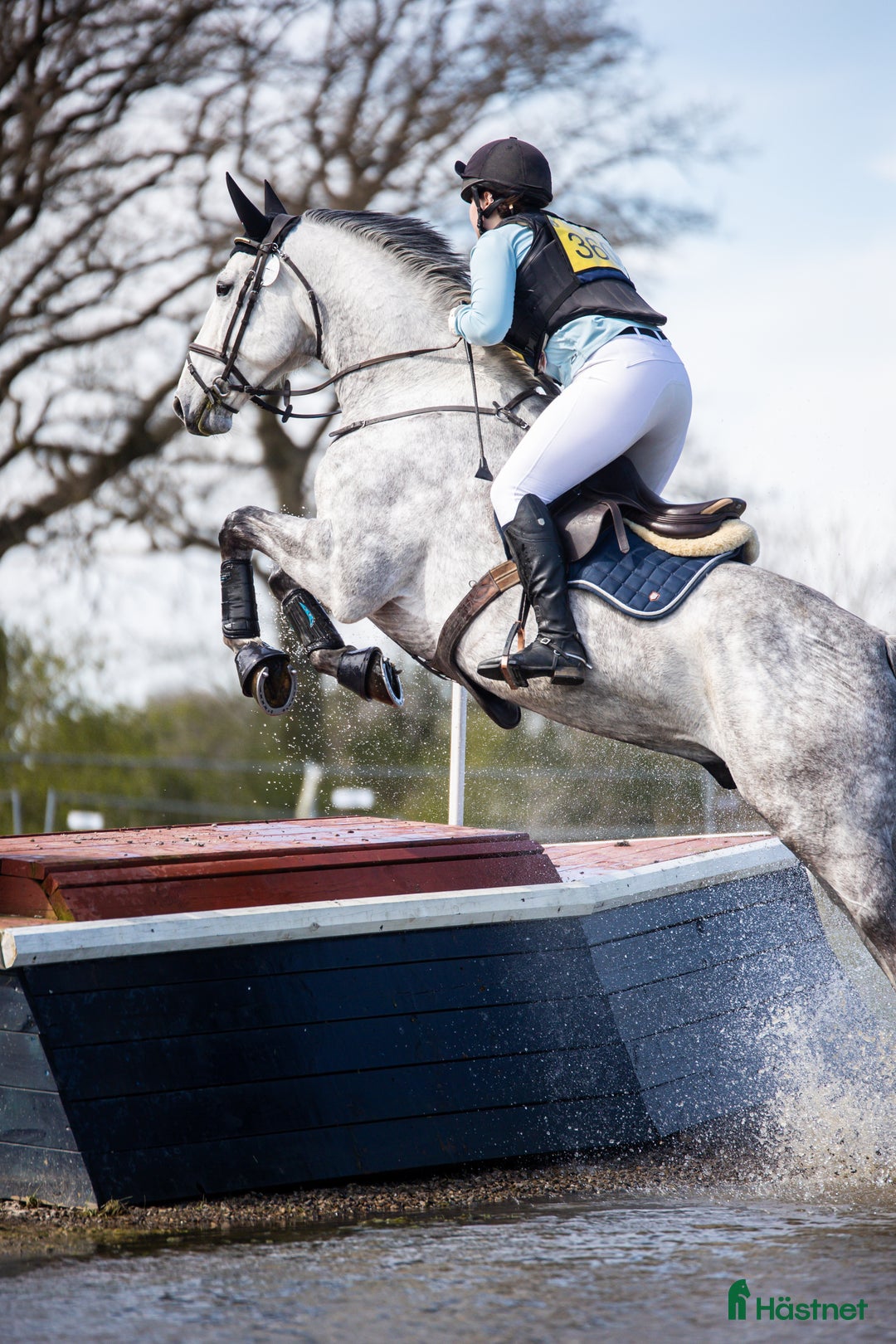 Fälttävlan hästar till salu: 7 y/o eventing horse for the future. i Jessheim - Annons 2
