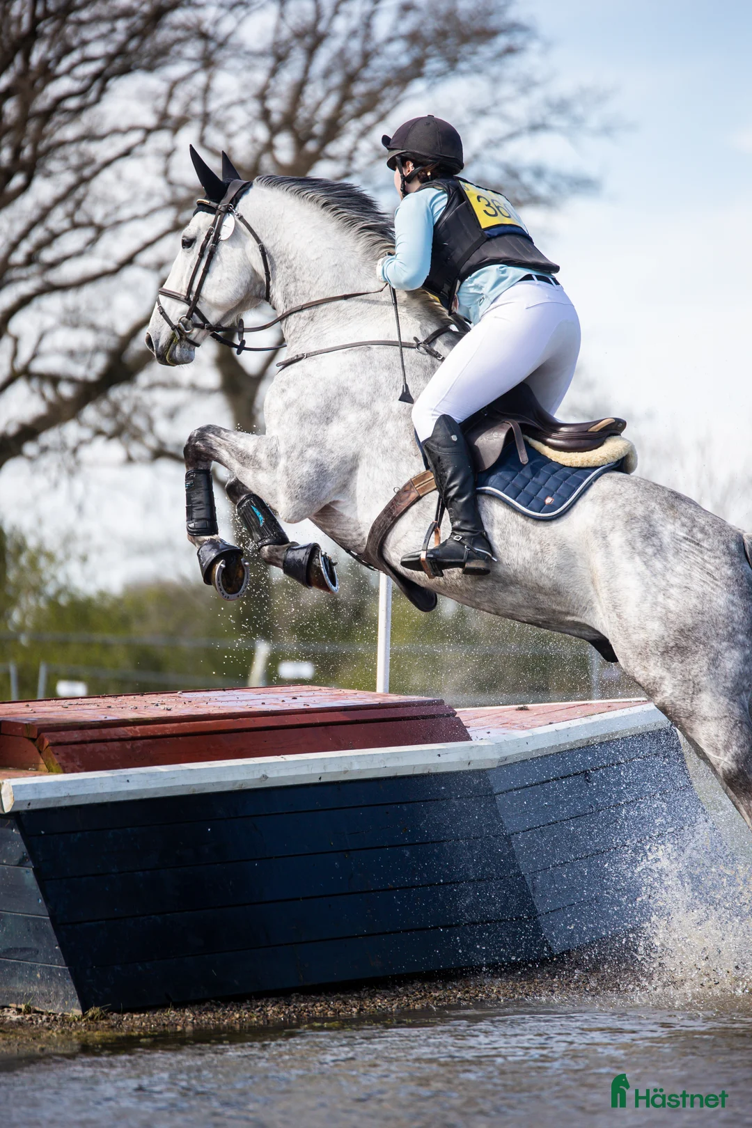 Fälttävlan hästar till salu: 8 y/o eventing horse for the future. - Annons 1