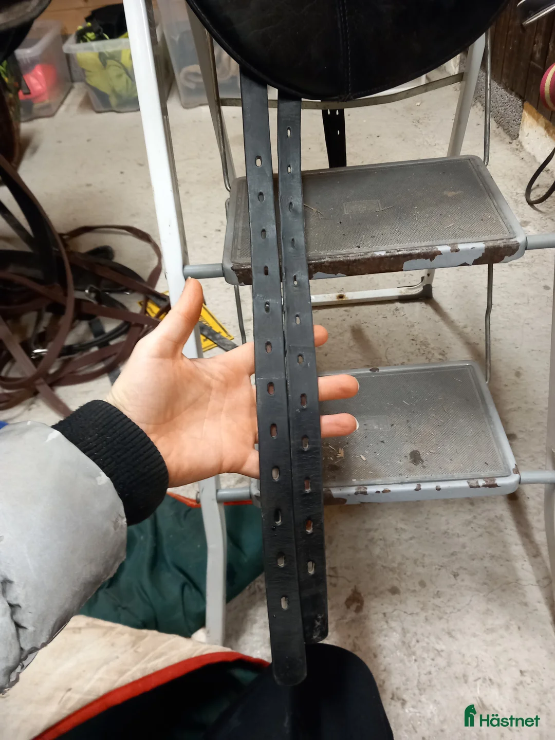 Sadlar hästutrustning till salu: Välvårdad Santa Cruz Arthur - Annons 4