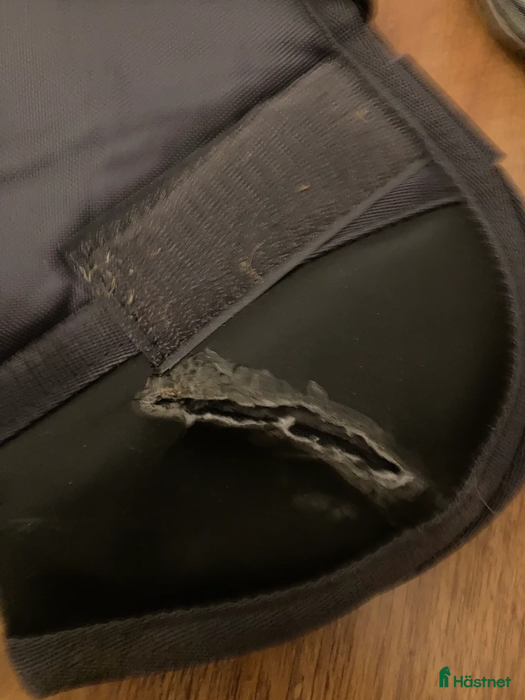 Benskydd hästutrustning till salu: Transportskydd Horseware Rambo - Annons 3