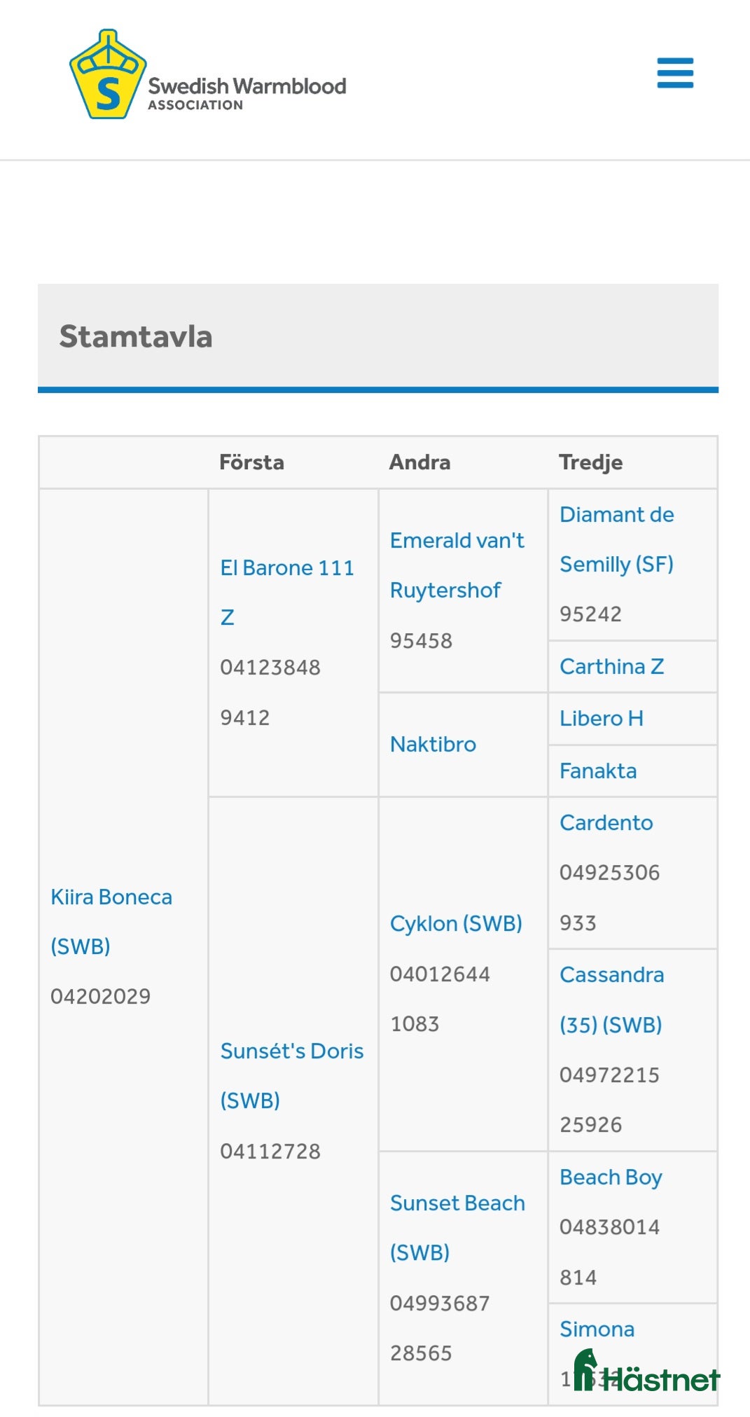  hästar Fint SWB sto med mycket hopp i sig - Annons 2