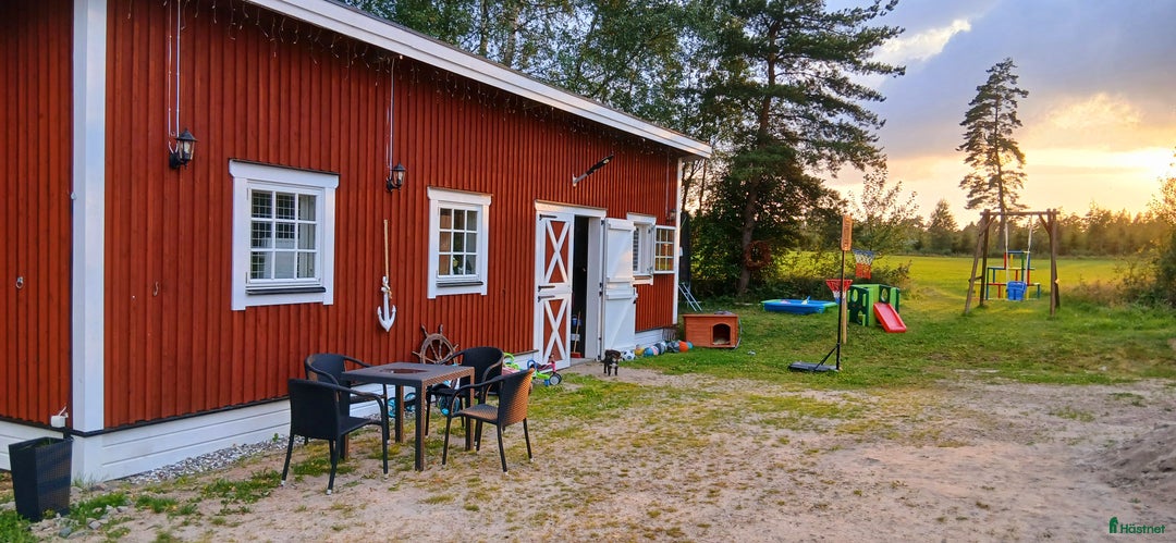  stallplats finnes: Svenljunga i Svenljunga - Annons 4