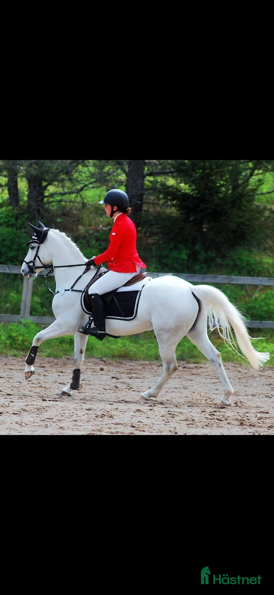 Galleribild {{count}}