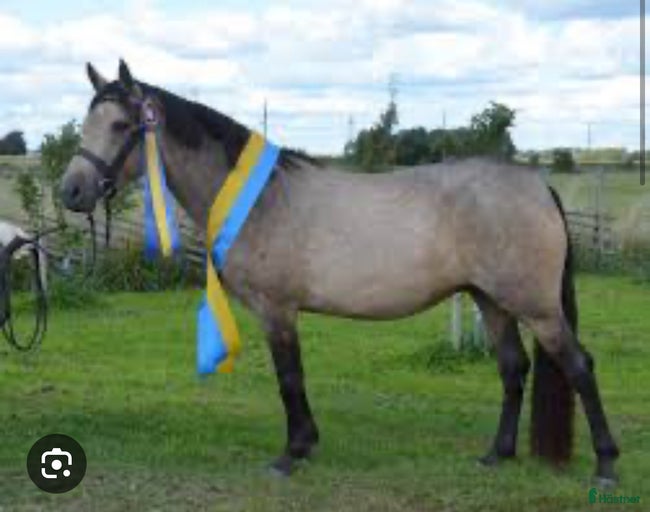 Galleribild {{count}}