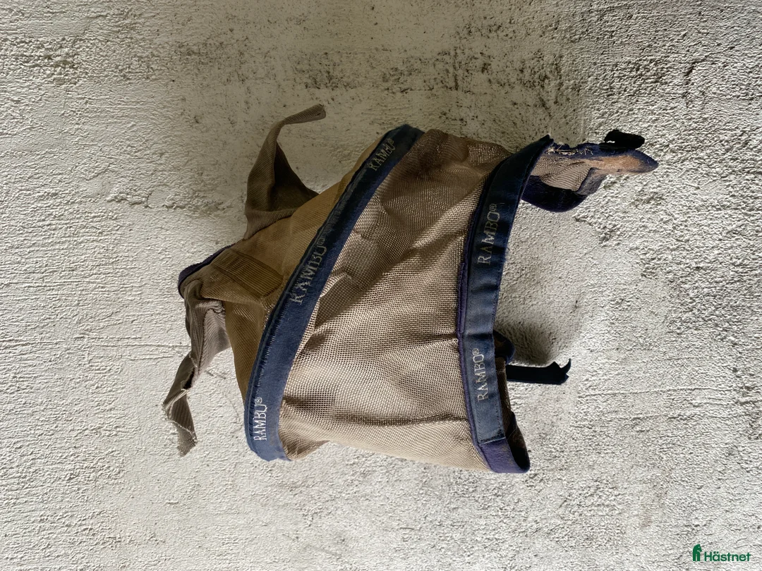 Övrig Hästutrustning hästutrustning till salu: Häst och stall utrustning  - Annons 15