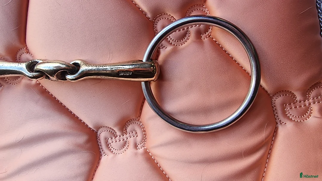 Bett hästutrustning till salu: Sprenger KK ultra 12,5 cm - Annons 3