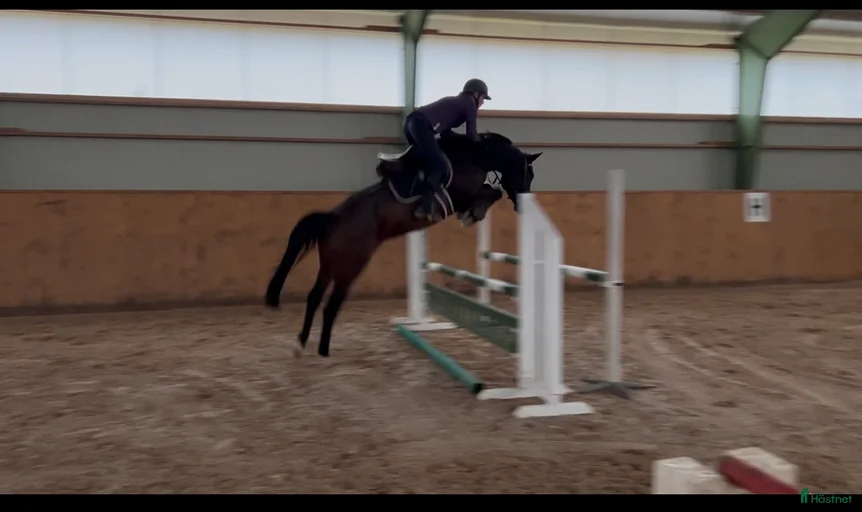 Galleribild {{count}}