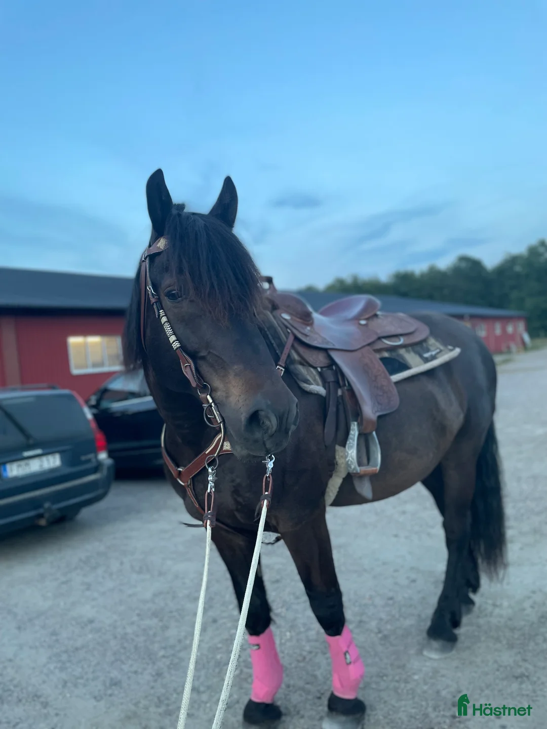 Sadlar hästutrustning till salu: Western sadel  i Alingsås - Annons 11