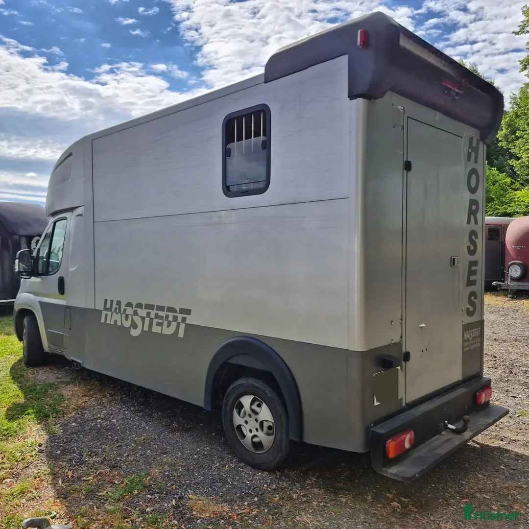 Hästtransporter  fordon & transport till salu:  Peugeot Boxer MSG Stablehopper i Borås - Annons 3