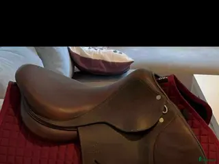 Sadlar hästutrustning Antares Altair - Annons 12