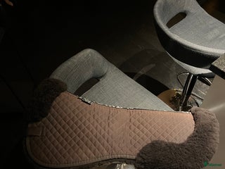 Schabrak & Vojlockar hästutrustning till salu: Padd i storlek M i Sundsvall - Annons 1