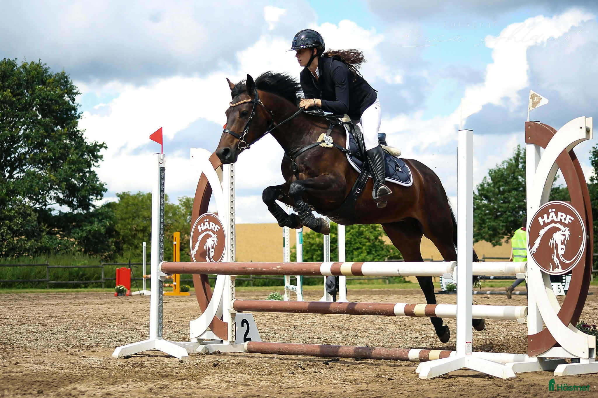  hästar Fartfylld, trygg och älskad D-ponny! i Svalöv - Annons 15
