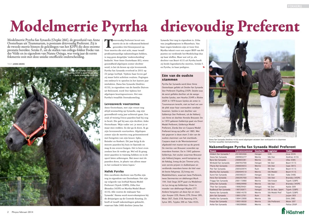 Dressyr hästar till salu: Daryan - lovande framtida sportstjärna - Annons 12