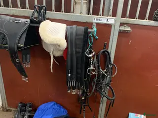 Övrig Hästutrustning hästutrustning Ponnyutrustning i Segeltorp - Annons 7