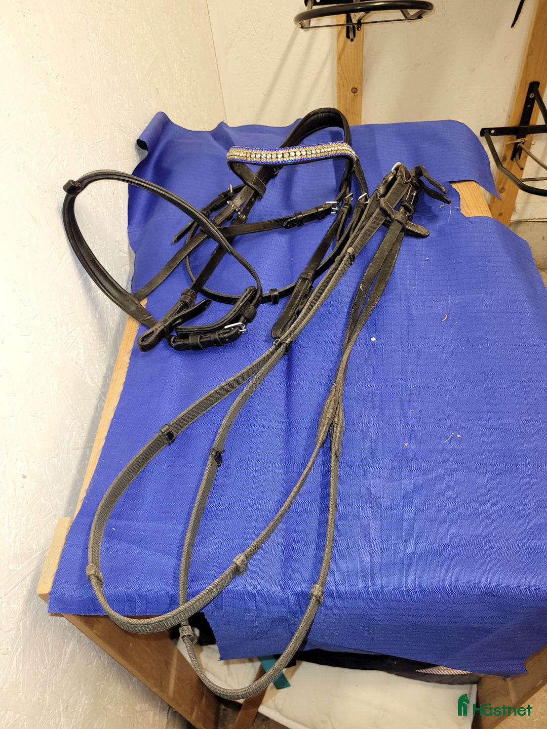 Träns hästutrustning till salu: Träns med fint pannband i Molkom - Annons 2