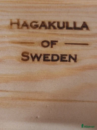 Galleribild {{count}}