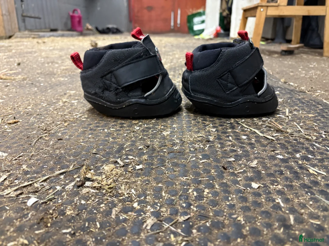 Övrig Hästutrustning hästutrustning till salu: Equine fusion trekking  - Annons 6