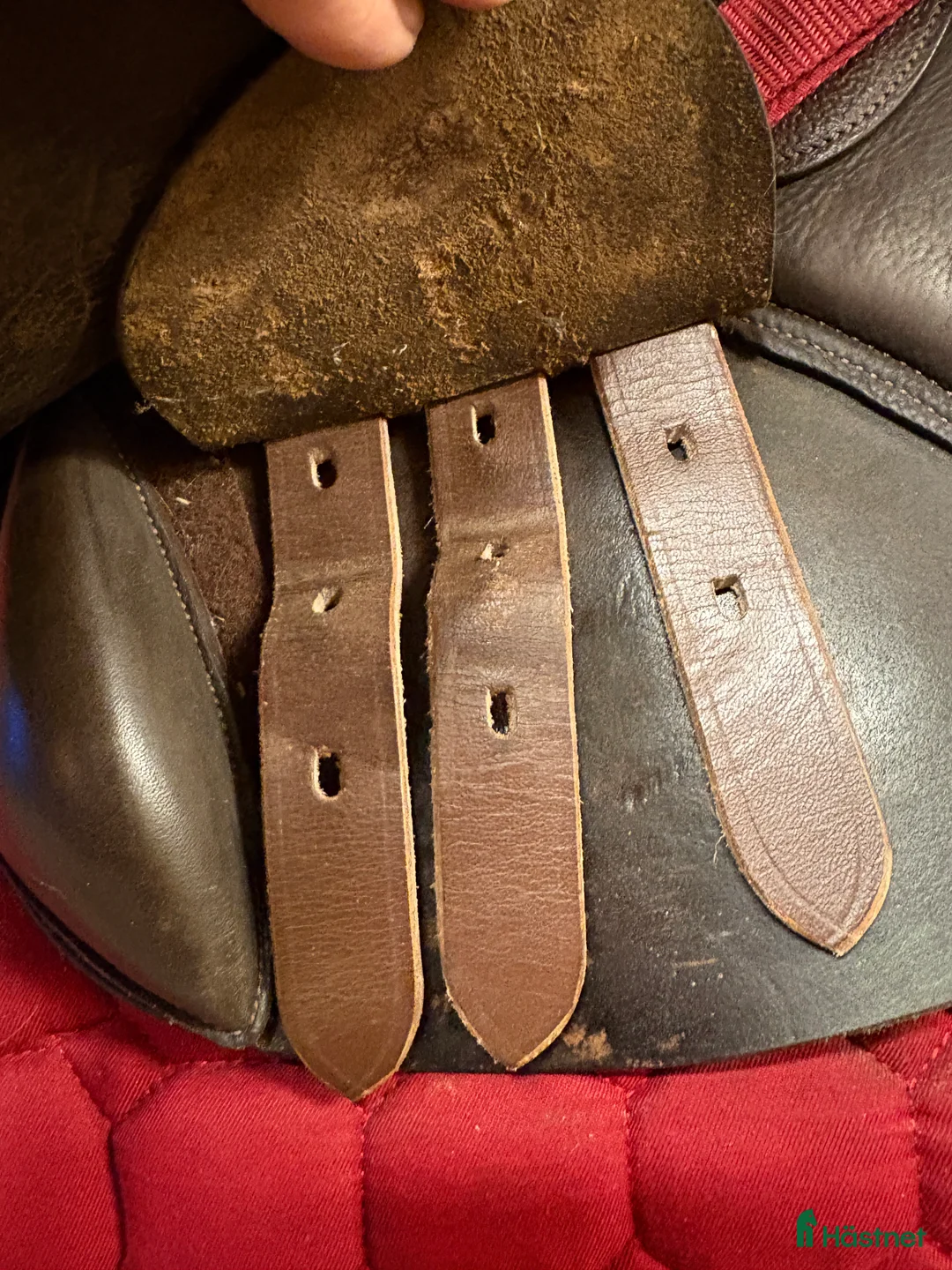 Sadlar hästutrustning till salu: Knights Robin Hood Elite 15” i Grästorp - Annons 10