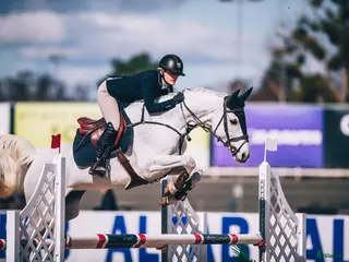 hästar Bästavän säljes i Dalarna - Annons 5