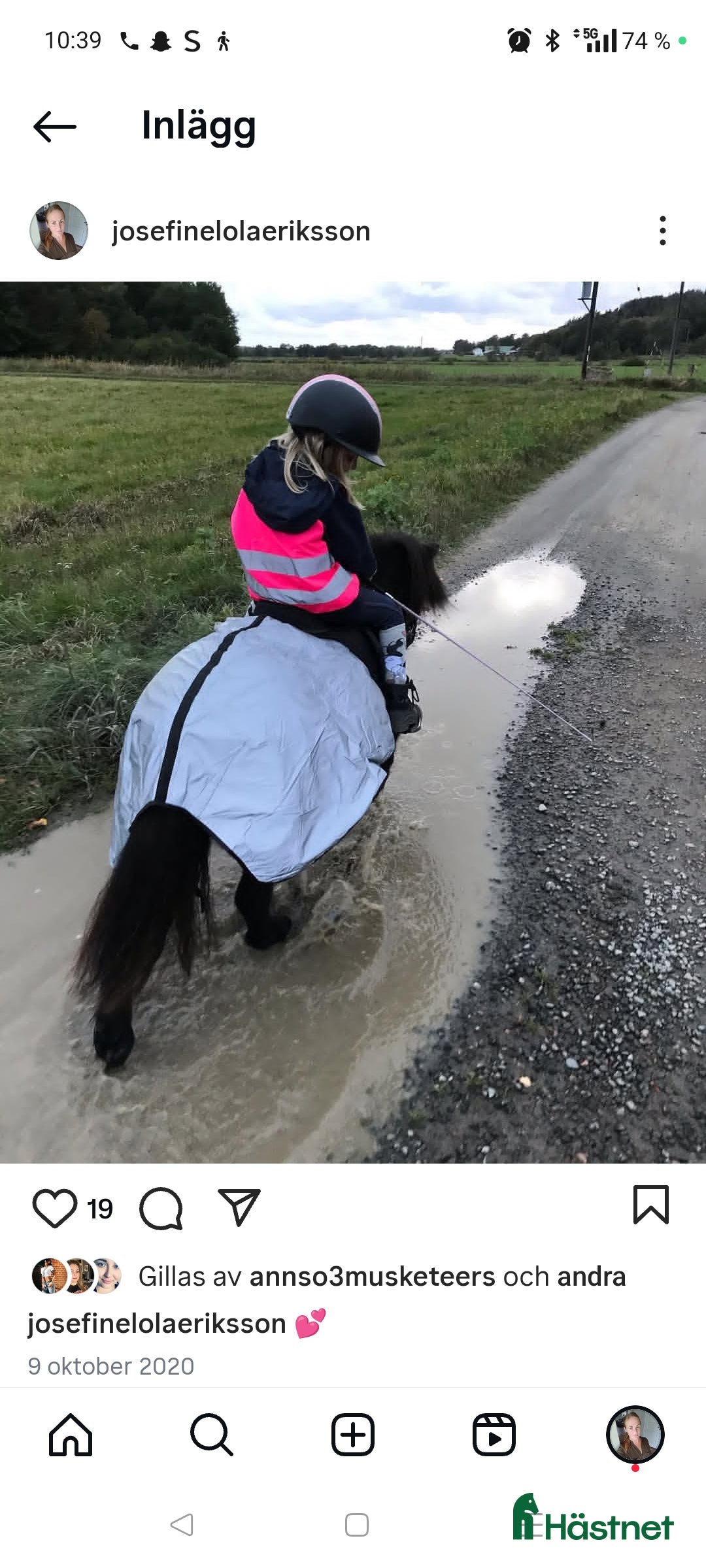 Allround hästar till salu: Värdens bästa ponny letar efter ny ryttare  i Veddige - Annons 9