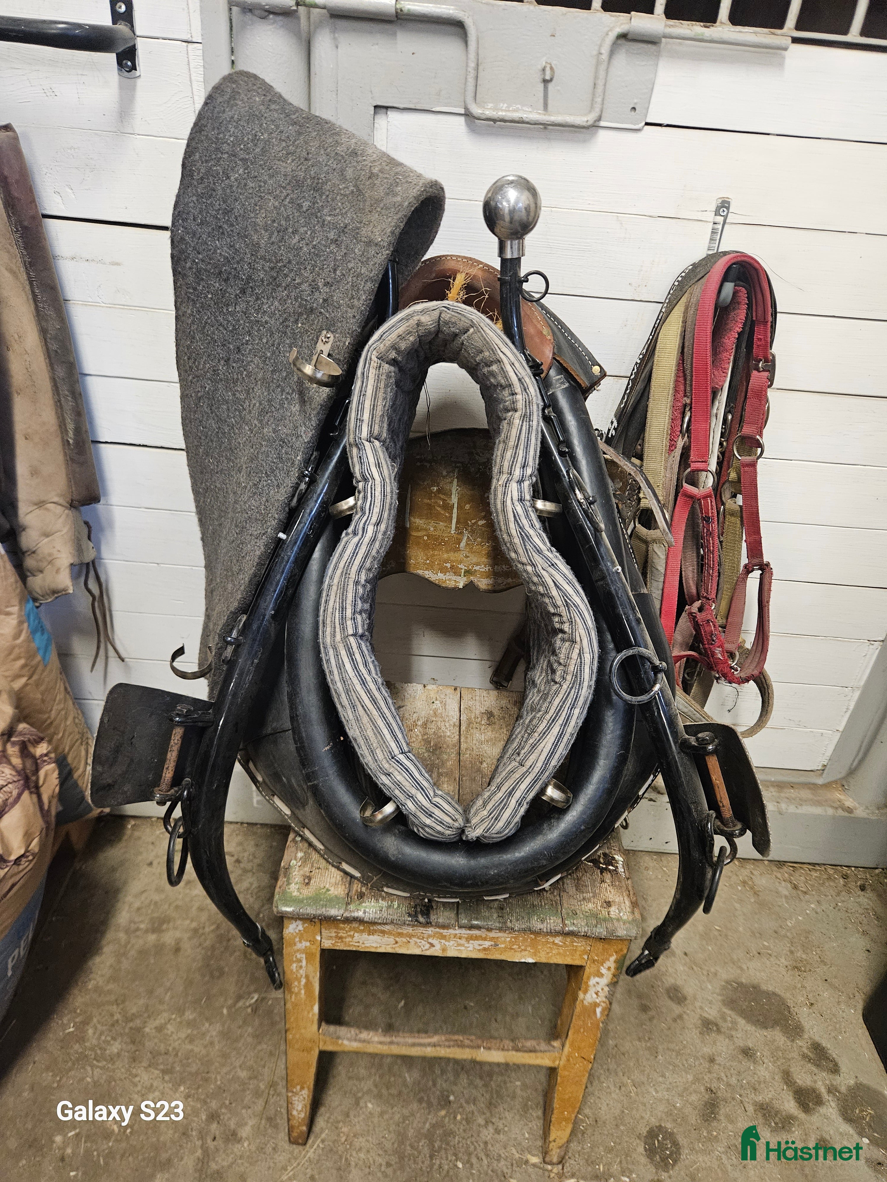 Körselar körning till salu: Hames/Collar i Byske - Annons 12