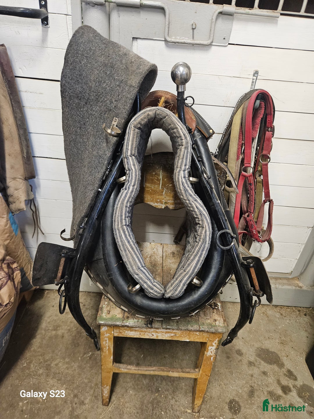 Körselar körning till salu: Hames/Collar i Byske - Annons 1