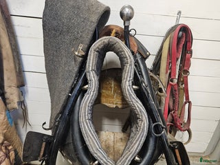 Körselar körning till salu: Hames/Collar i Byske - Annons 11