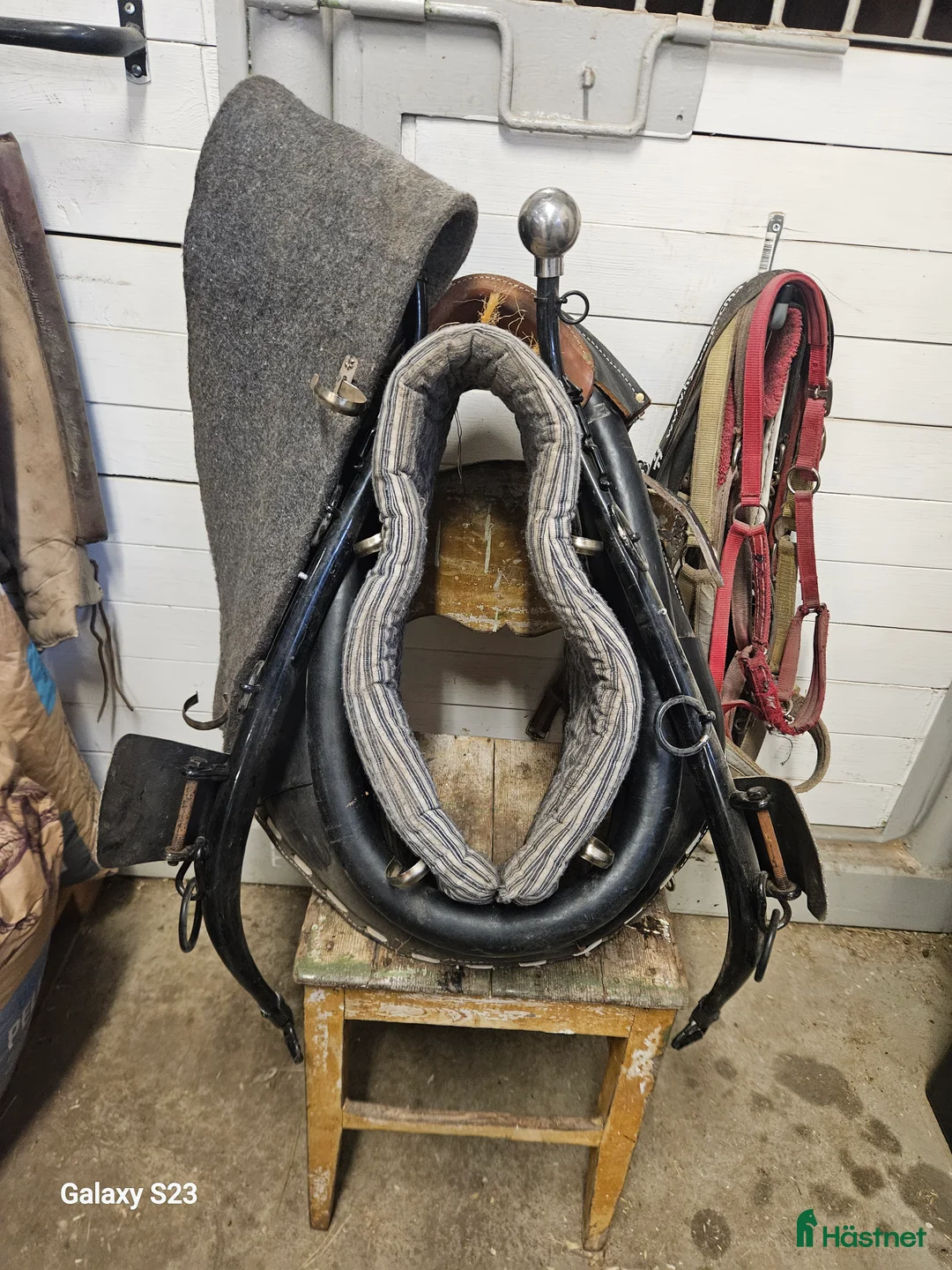 Körselar körning till salu: Hames/Collar i Byske - Annons 1