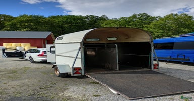 Hästtransporter  fordon & transport till salu i Alingsås - Annons 4