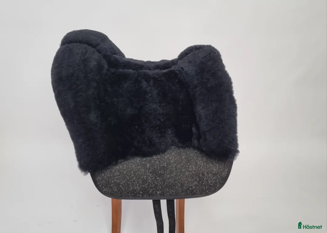 Sadlar hästutrustning till salu: Grandeur Tomentum BAROCK - Annons 1