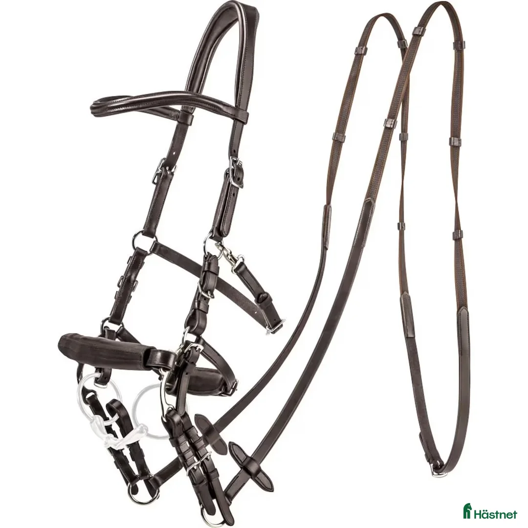 Träns hästutrustning till salu: Carl Hedin kombinationsträns  - Annons 1