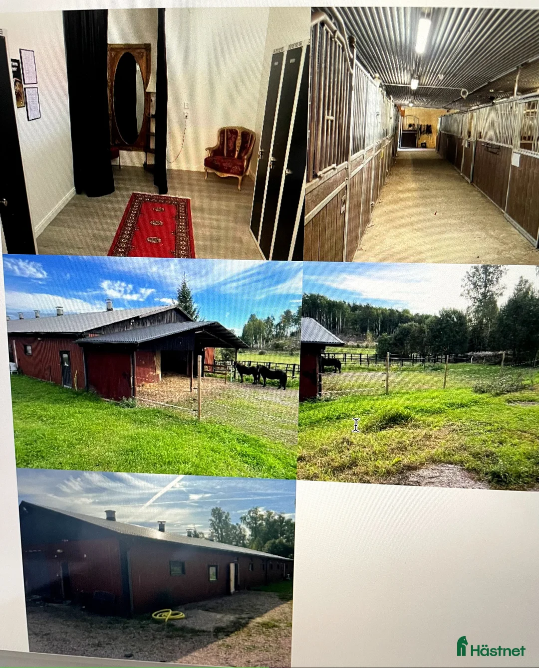  stallplats finnes: Plats i lösdrift med tillgång till box/stallplats i Tystberga - Annons 2