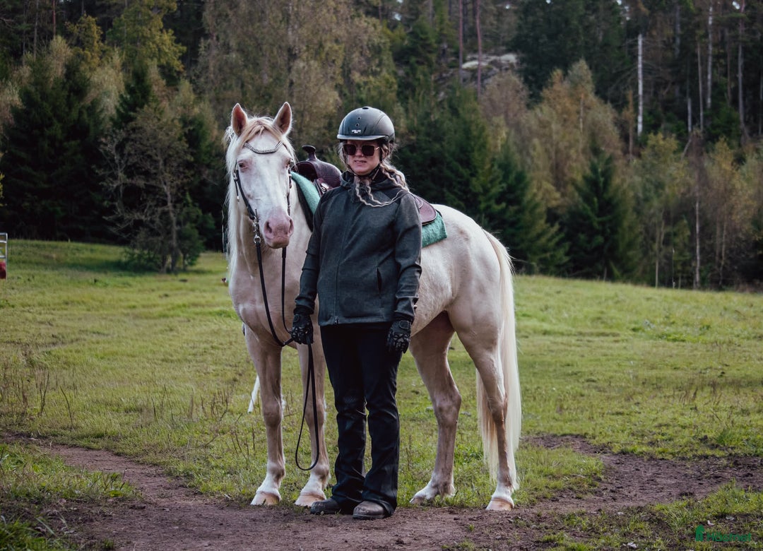 Working Equitation hästar till salu: En riktigt trevlig ponny  i Färgelanda - Annons 6