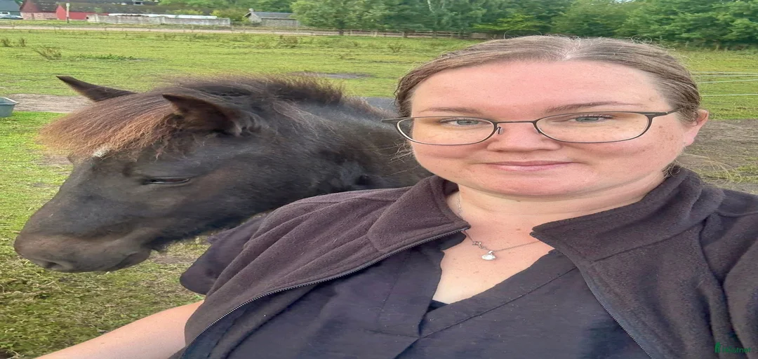 Galleribild {{count}}