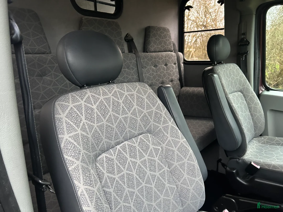 Hästlastbilar  fordon & transport till salu: Paragan 5 sits rejäl och robust  i Teckomatorp - Annons 7