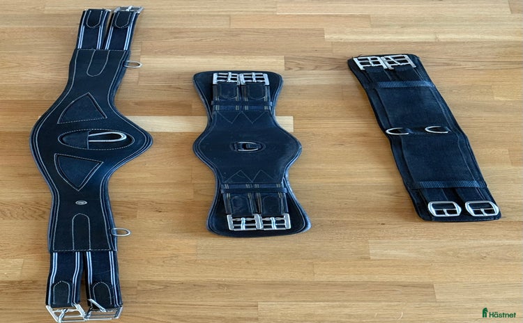 Övrig Hästutrustning hästutrustning till salu: Gjordar, martingal, tyglar, mm i Vikingstad - Annons 8