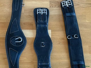 Övrig Hästutrustning hästutrustning till salu: Gjordar, martingal, tyglar, mm i Vikingstad - Annons 7