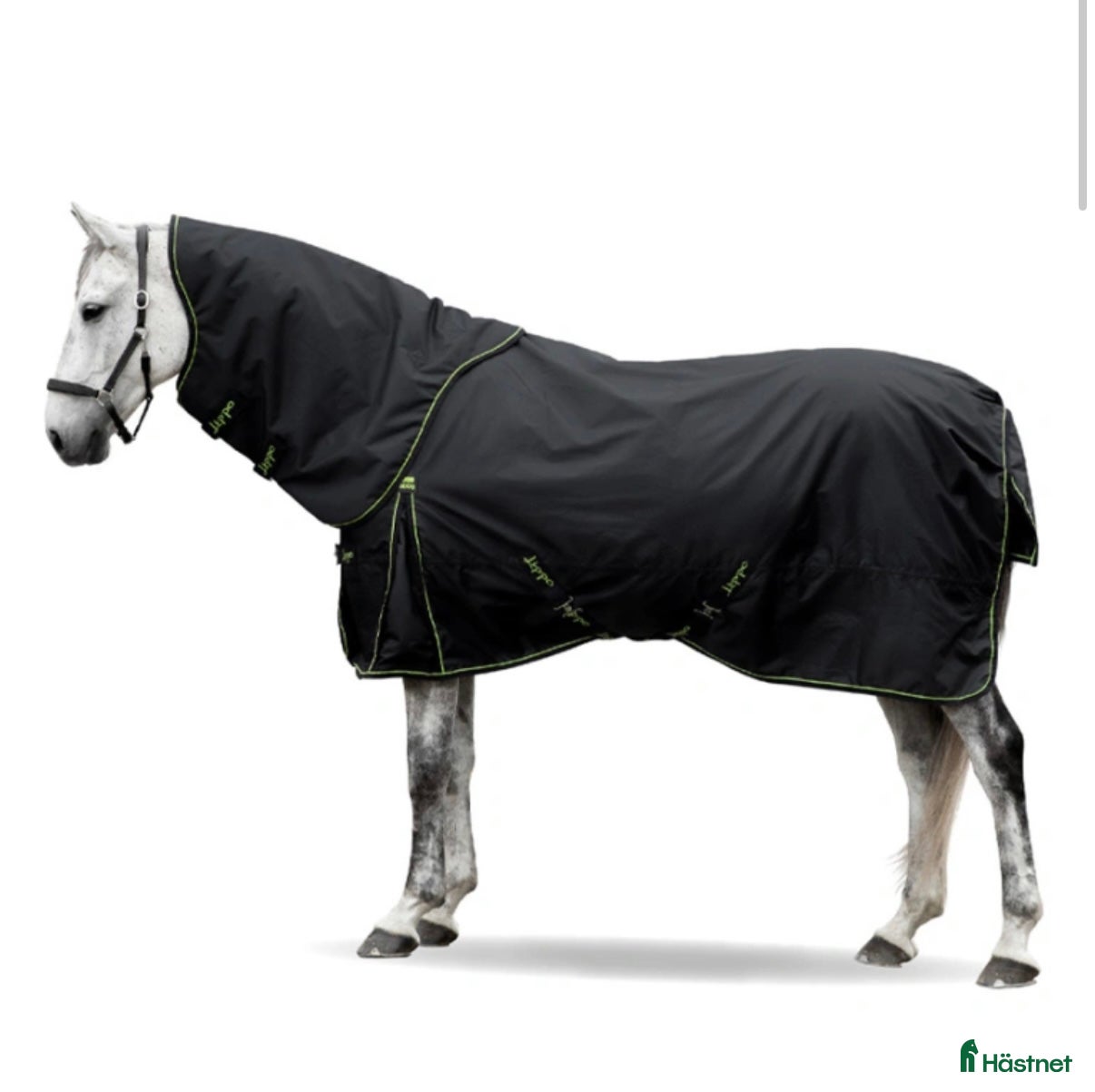 Täcken hästutrustning till salu: Lippo. Horsewear - Annons 2