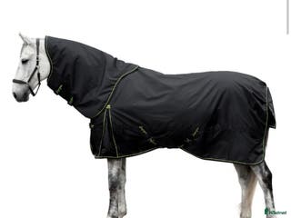Täcken hästutrustning till salu: Lippo. Horsewear - Annons 9