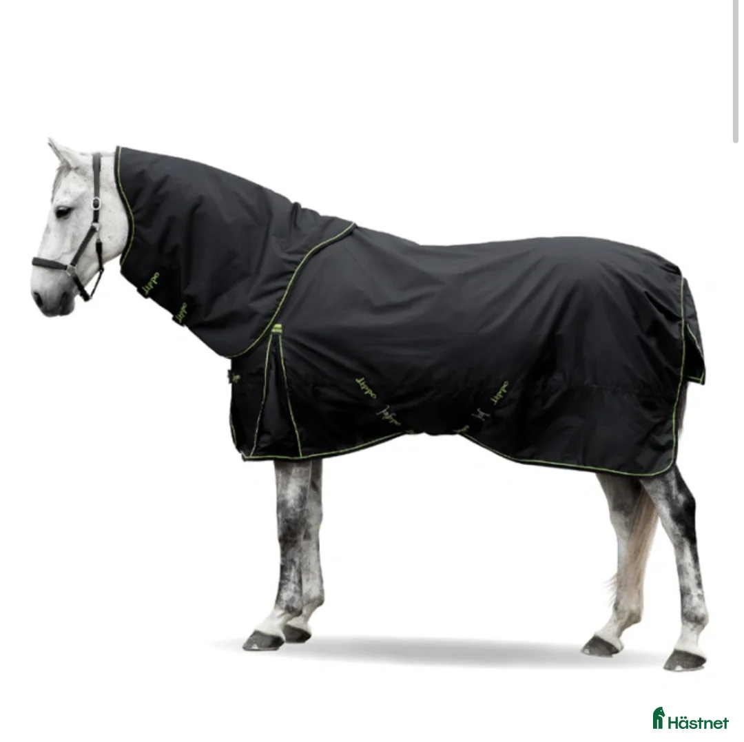 Täcken hästutrustning till salu: Lippo. Horsewear - Annons 1