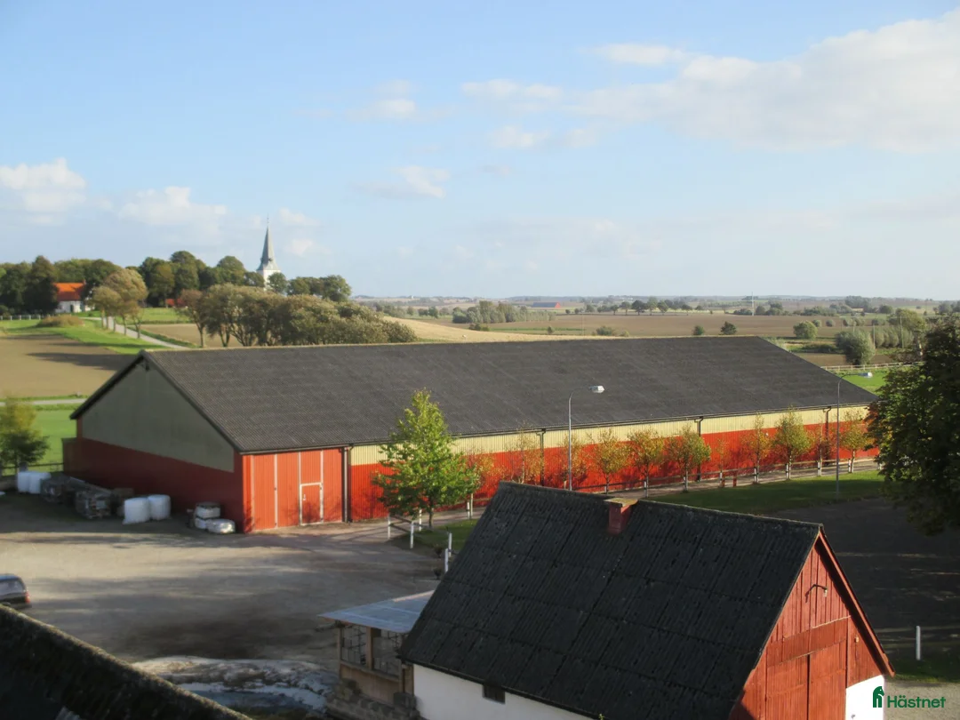  stallplats finnes: Stallplats/lösdrift mellan Malmö/Lund  - Annons 3