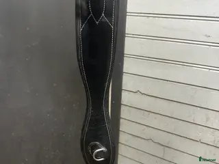 Sadeltillbehör hästutrustning Använd men fin sadelgjord i Nässjö - Annons 12