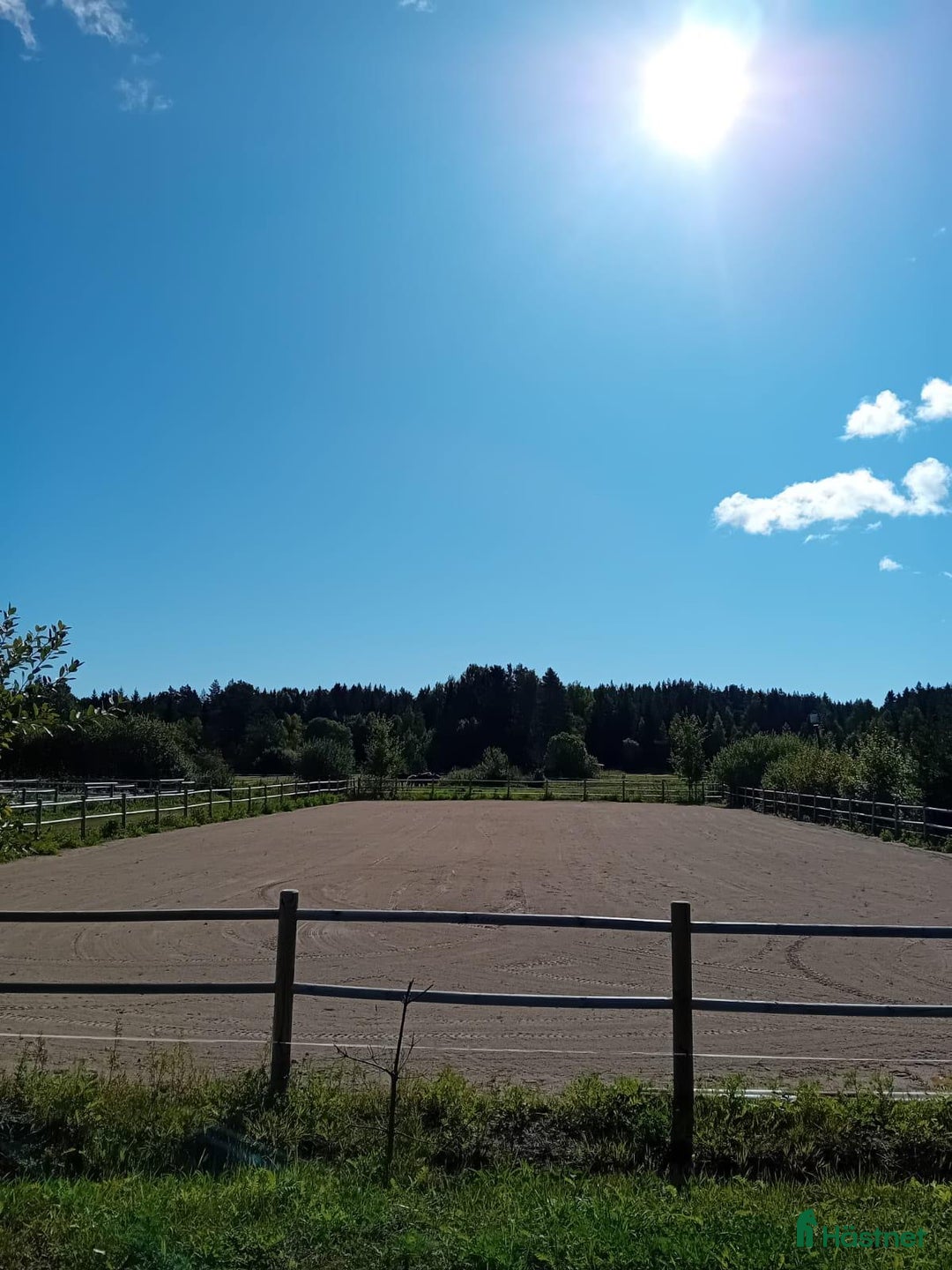  stallplats finnes: Två platser på lösdrift  i Söderhamn - Annons 5