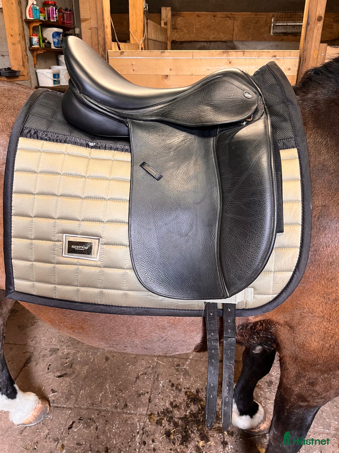 Sadlar hästutrustning till salu: Dressyr Sadel Lippo Vanessa  i Holsbybrunn - Annons 1