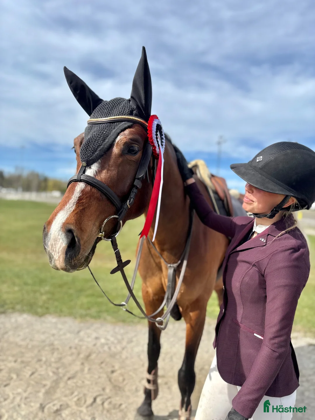 Hoppning hästar till salu: Talangfull 5-åring - Annons 1