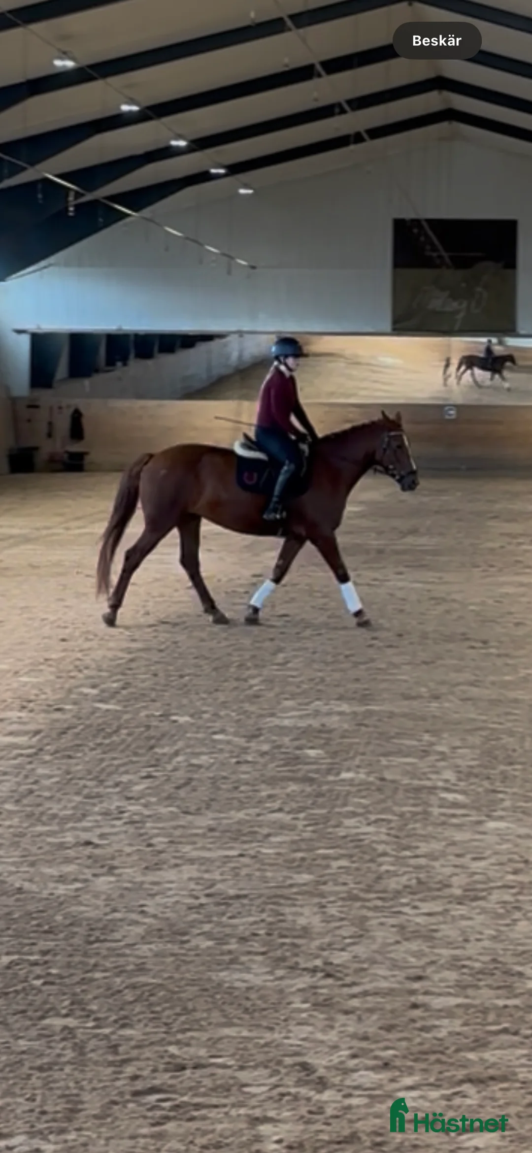 Galleribild {{count}}