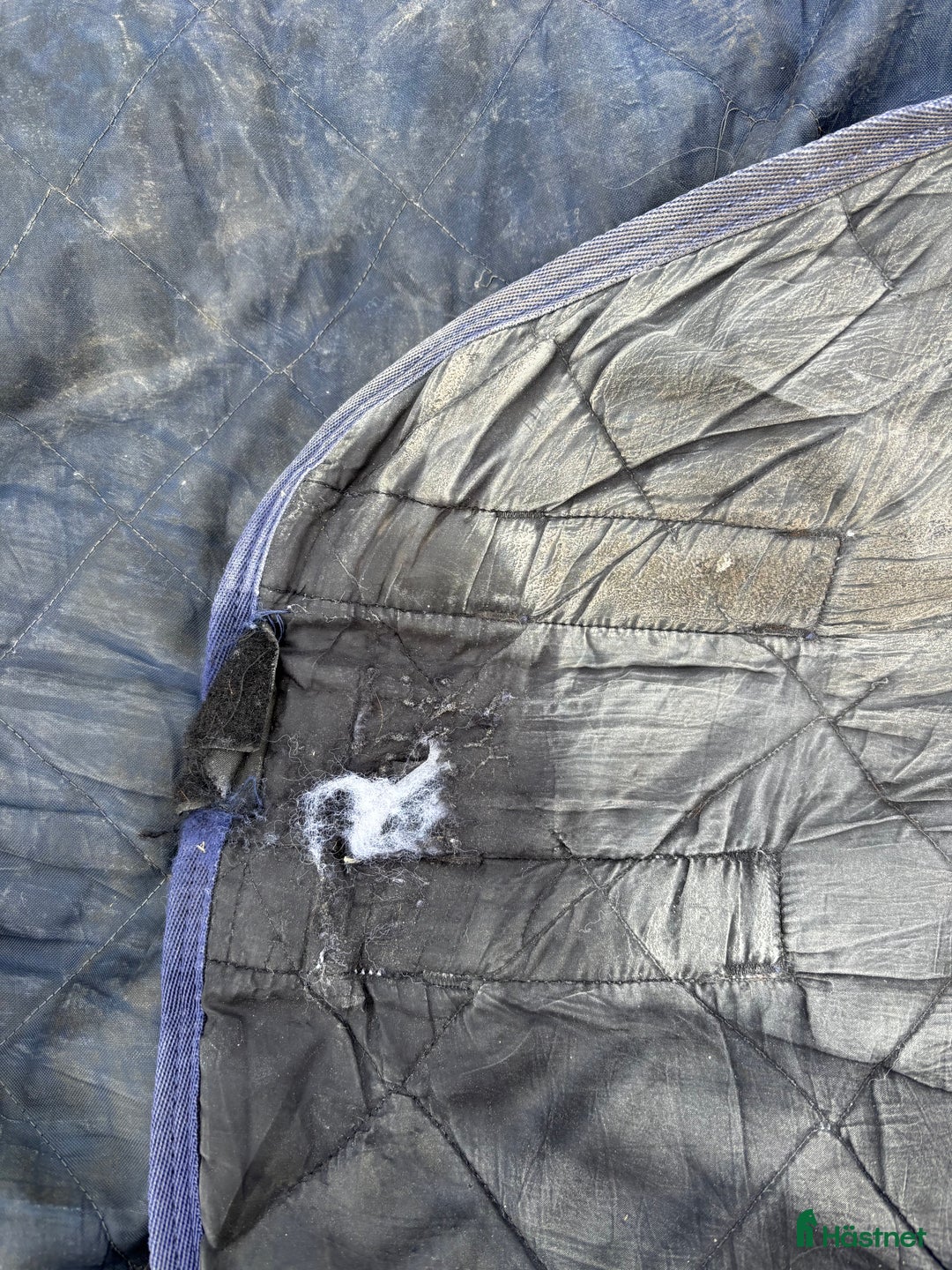 Täcken hästutrustning till salu: Stalltäcke 155 cm i Storuman - Annons 5