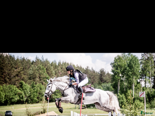 hästar Underbar D-ponny med power i Västerås - Annons 16